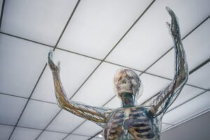 5 Healthy Practices to Enhance Your Immune System and Overall Well-Being