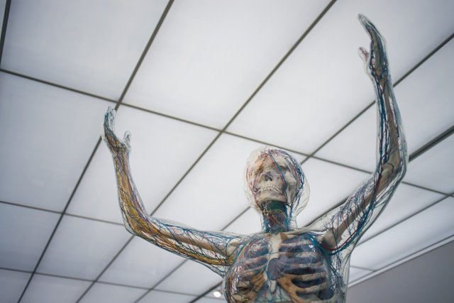 5 Healthy Practices to Enhance Your Immune System and Overall Well-Being