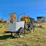 Discovering the Ideal Family Cargo Bike: A Complete Guide to Choices and Advantages