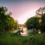 Top 8 Wellness Retreats in Mississippi: Experience Southern Hospitality and Holistic Healing