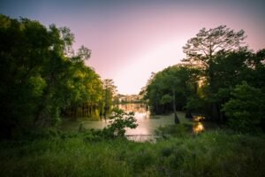 Top 8 Wellness Retreats in Mississippi: Experience Southern Hospitality and Holistic Healing