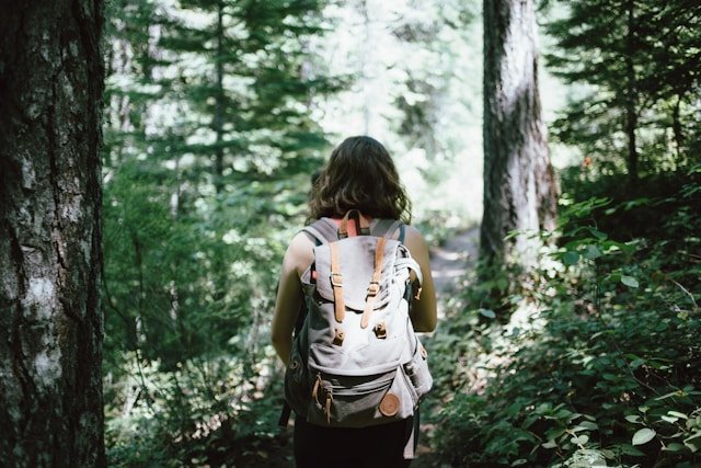 Nature Walks Can Enhance Mental Health and Aid in Addiction Recovery