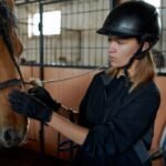 The Significance of Bridles in Equestrian Activities