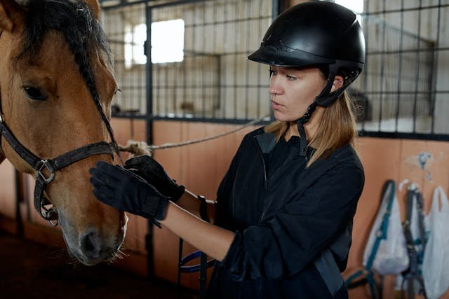 The Significance of Bridles in Equestrian Activities