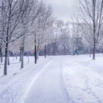 Discover the Enchantment: Must-Experience Activities in a Canadian Winter
