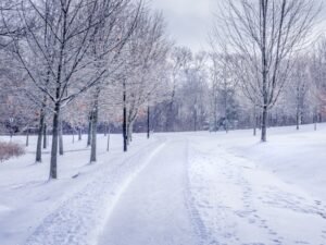 Discover the Enchantment: Must-Experience Activities in a Canadian Winter
