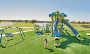 Creating a Healthier Future: Who Are the Leading Suppliers of Sensory Playground Equipment to Support Young Minds and Bodies?